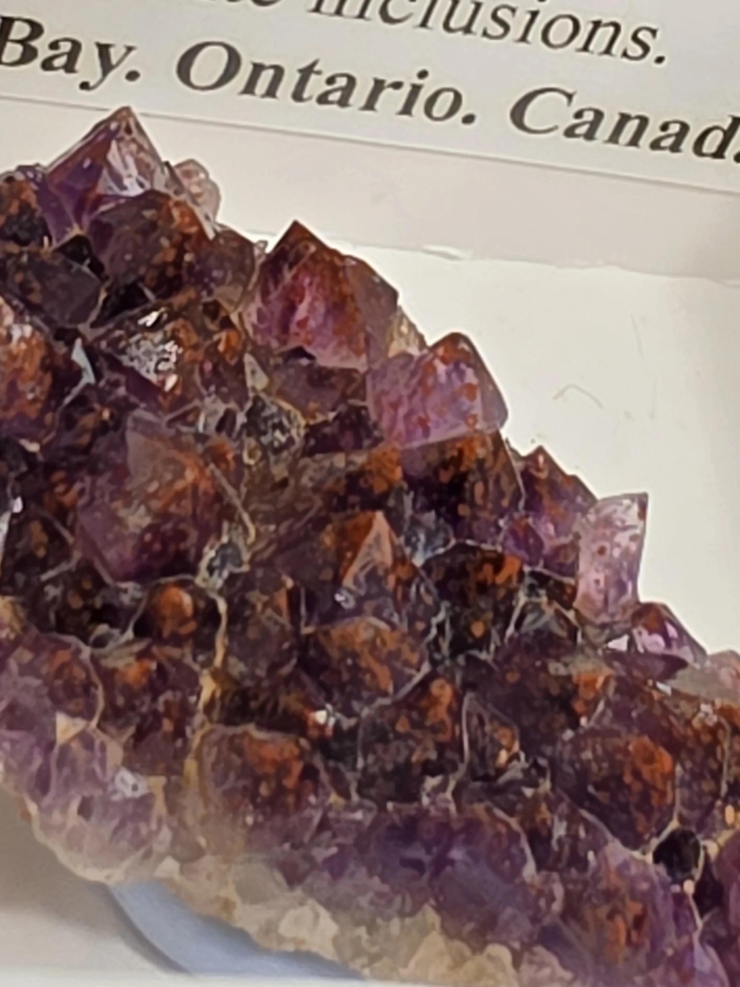 20260721_113709.jpg