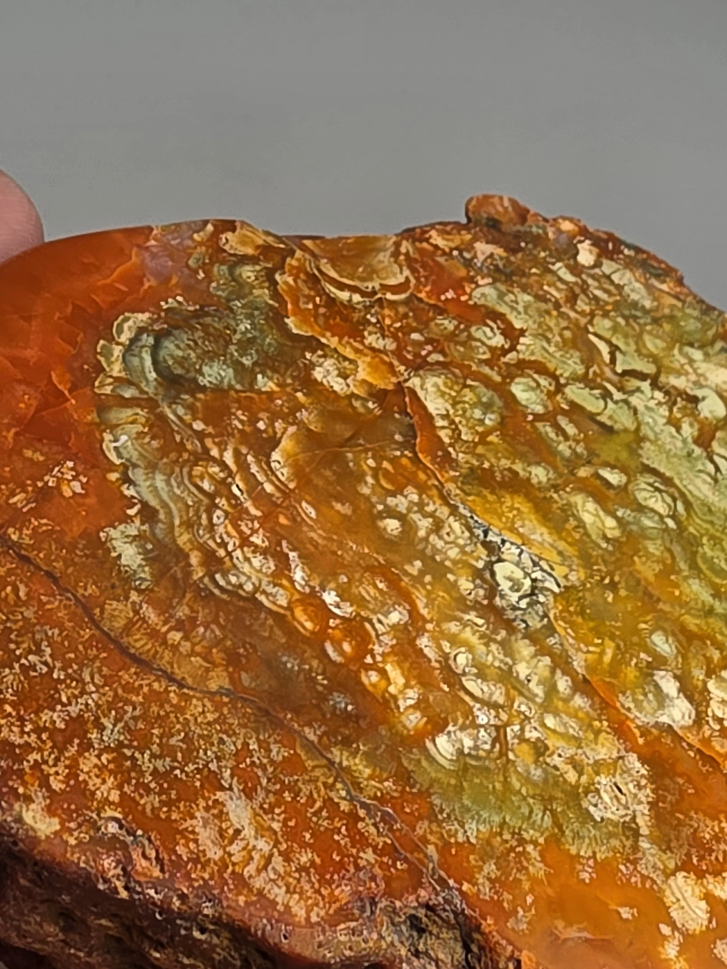 20260916_164447.jpg