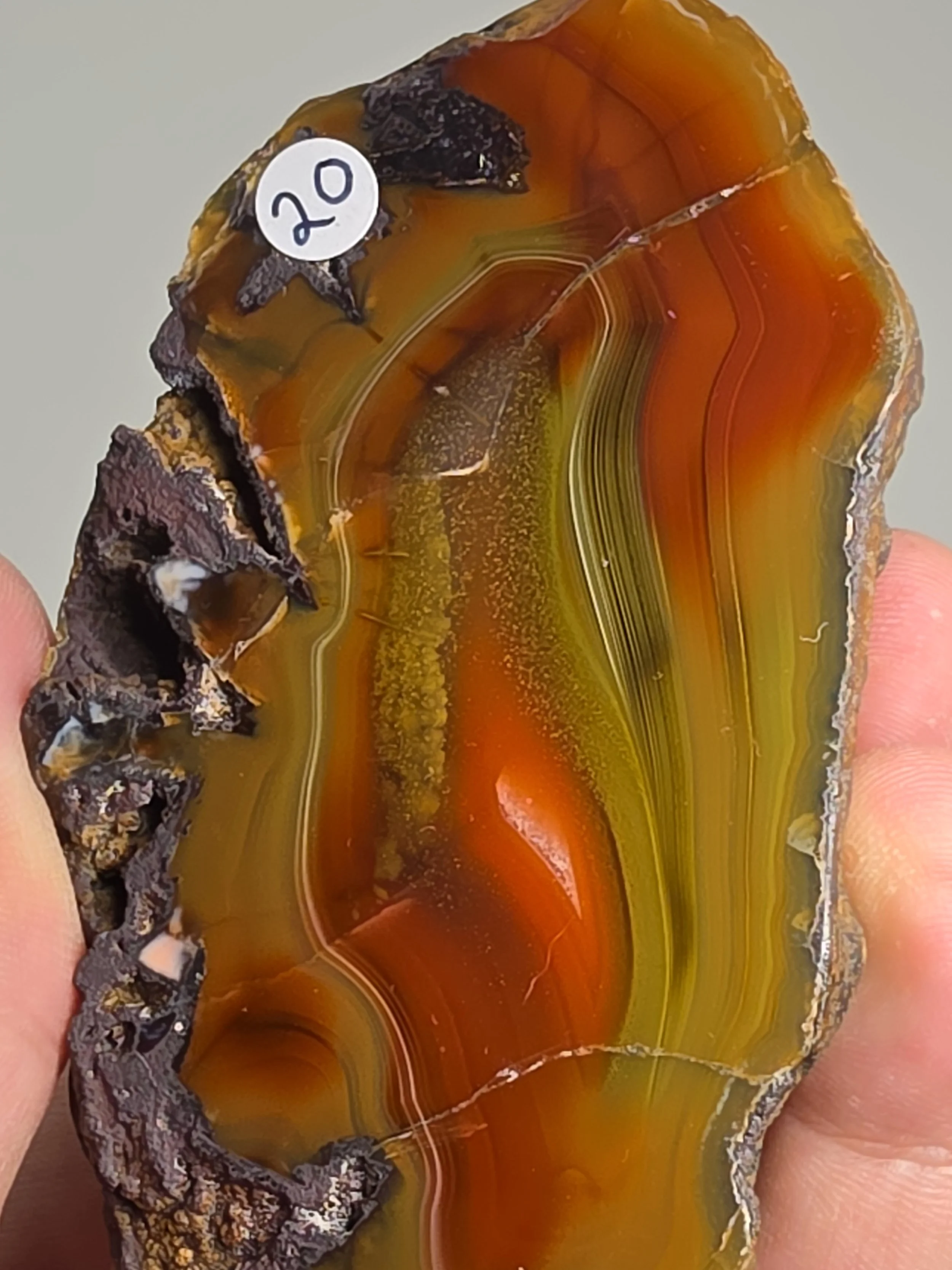 20260916_164550.jpg