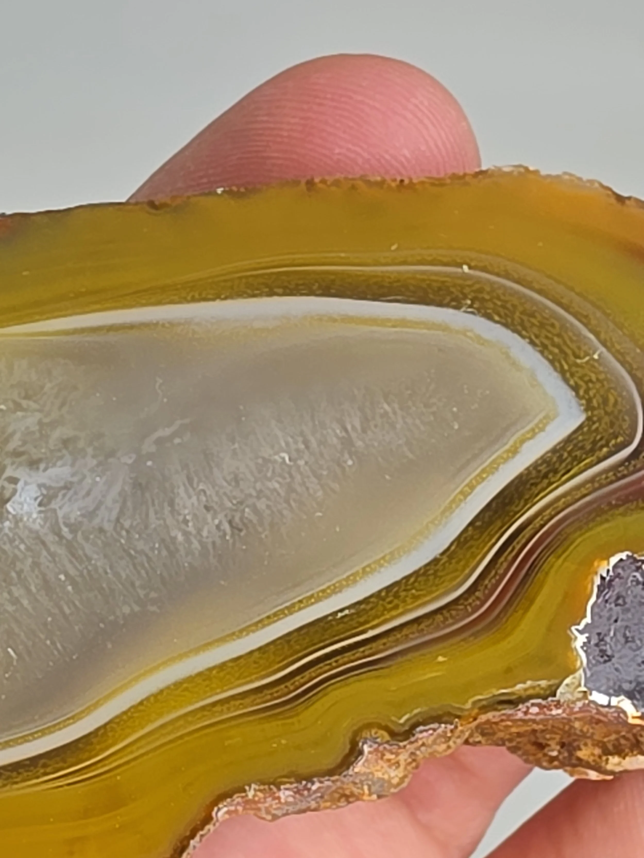 20260916_164252.jpg