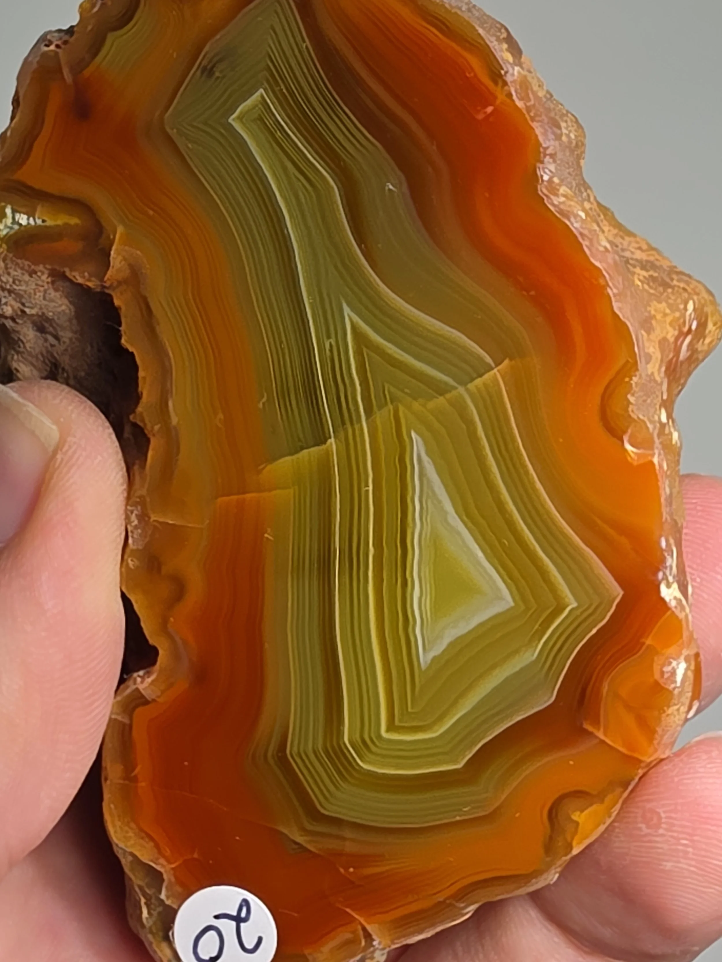20260916_164031.jpg