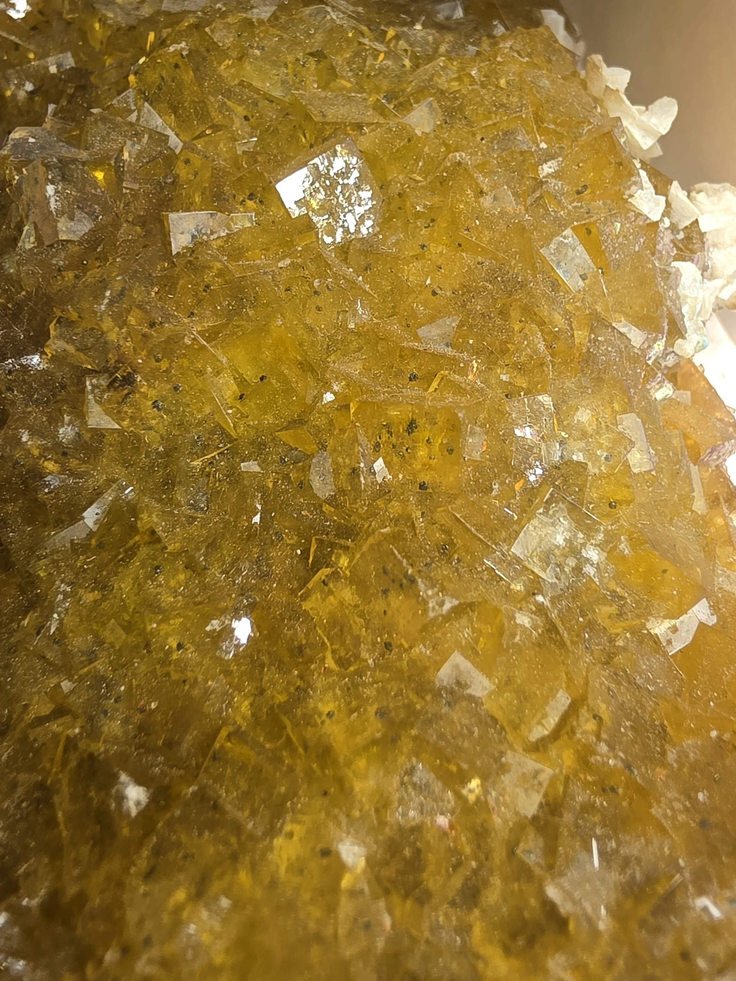 20261020_144019.jpg