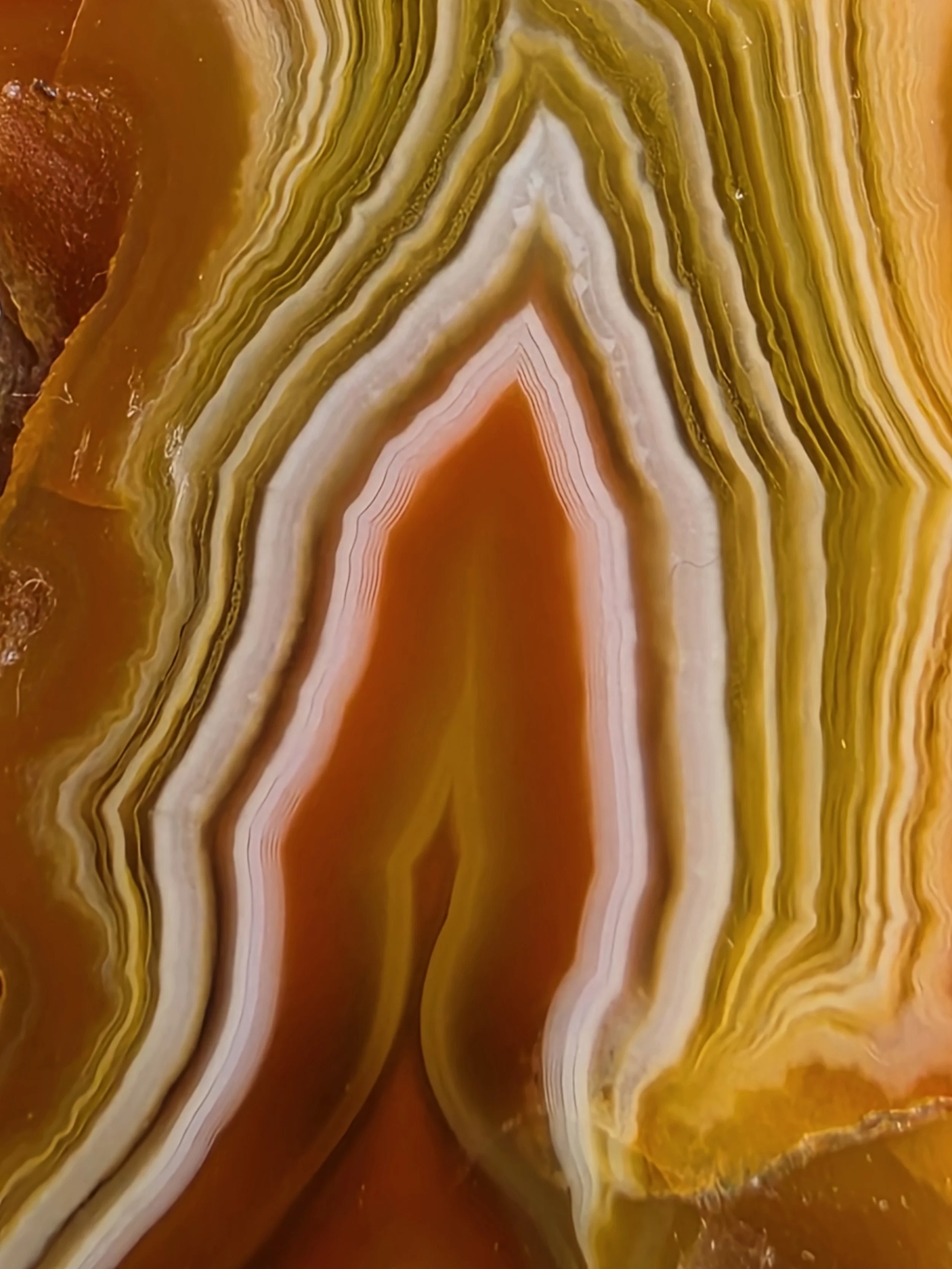 20260921_162550.jpg