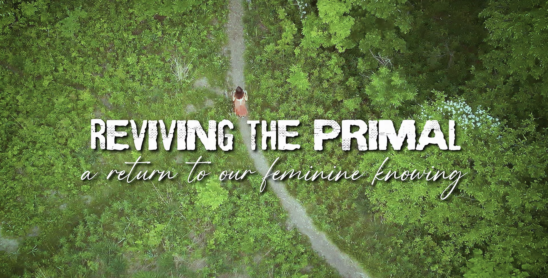 Screenshot 2024-11-21 at 1.01.38 AM.png