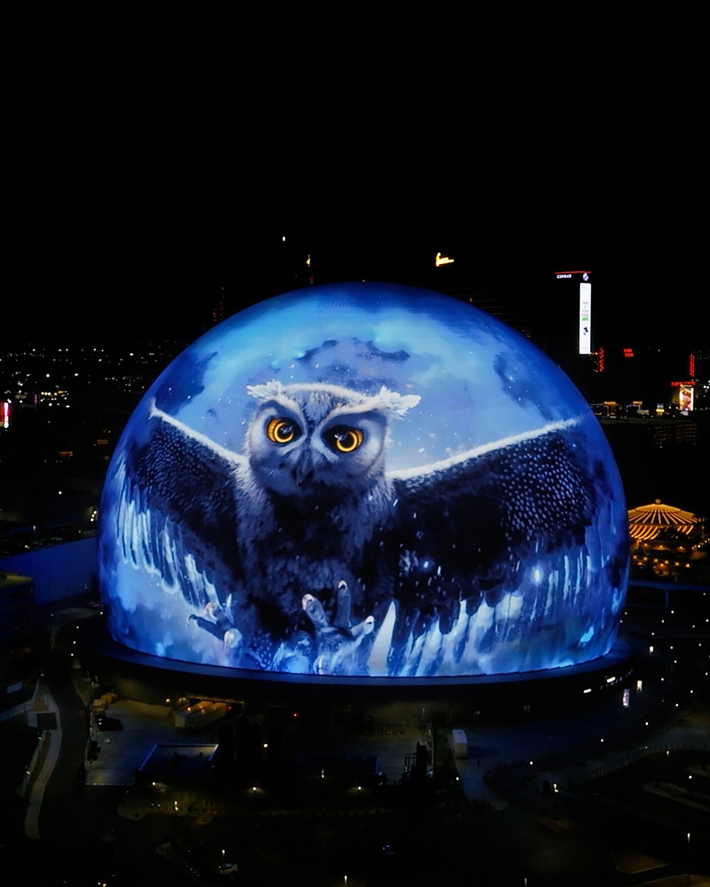 unity_insomniacEvents_Tomorrowland.jpg