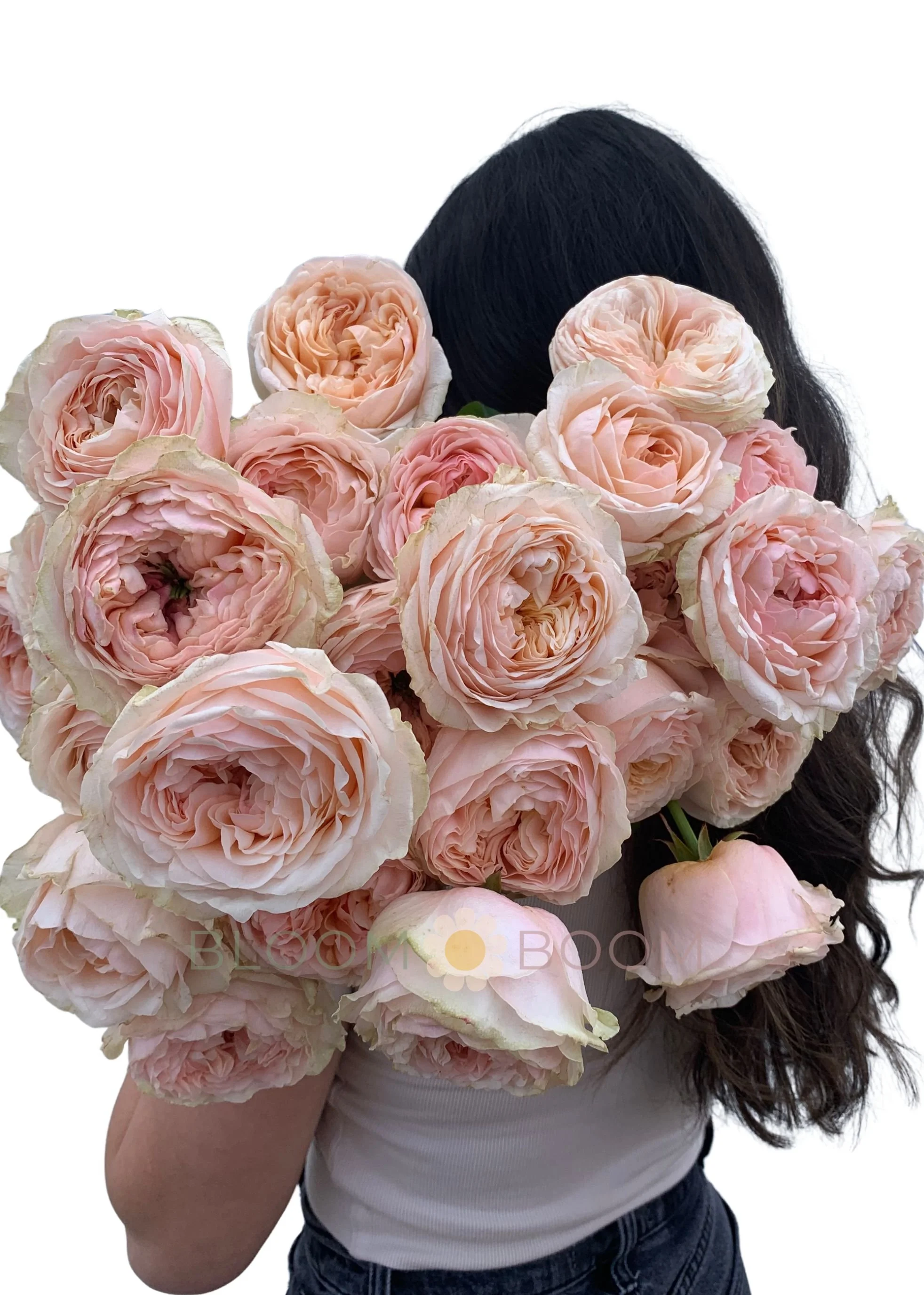 Premium Pink Garden Roses.jpg