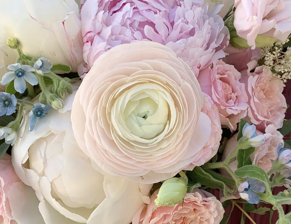 A Canadian guide to cheap flowers.