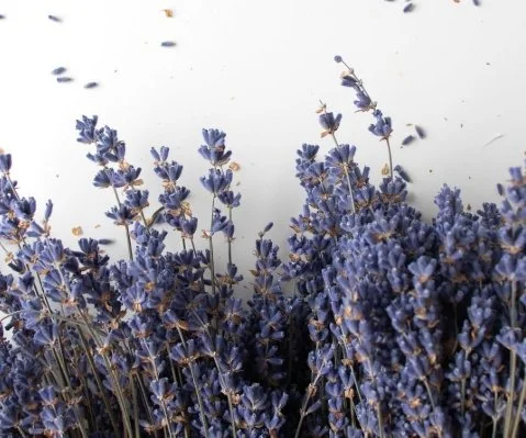 Apothecary Organic Lavendar.jpeg