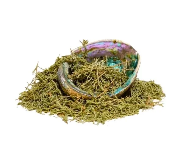 Juniper Leaves