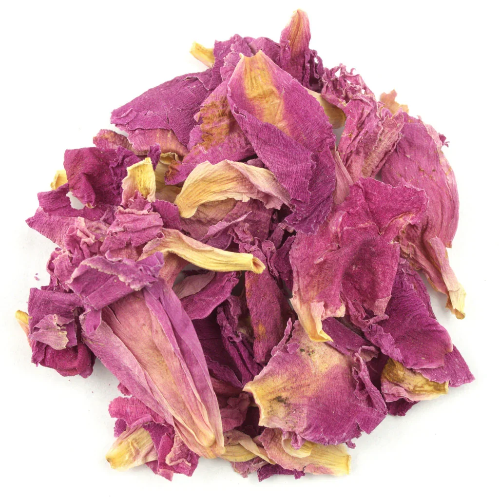 Peony Petals.webp