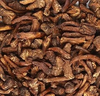 Saskatchewan Dandelion Root.jpeg