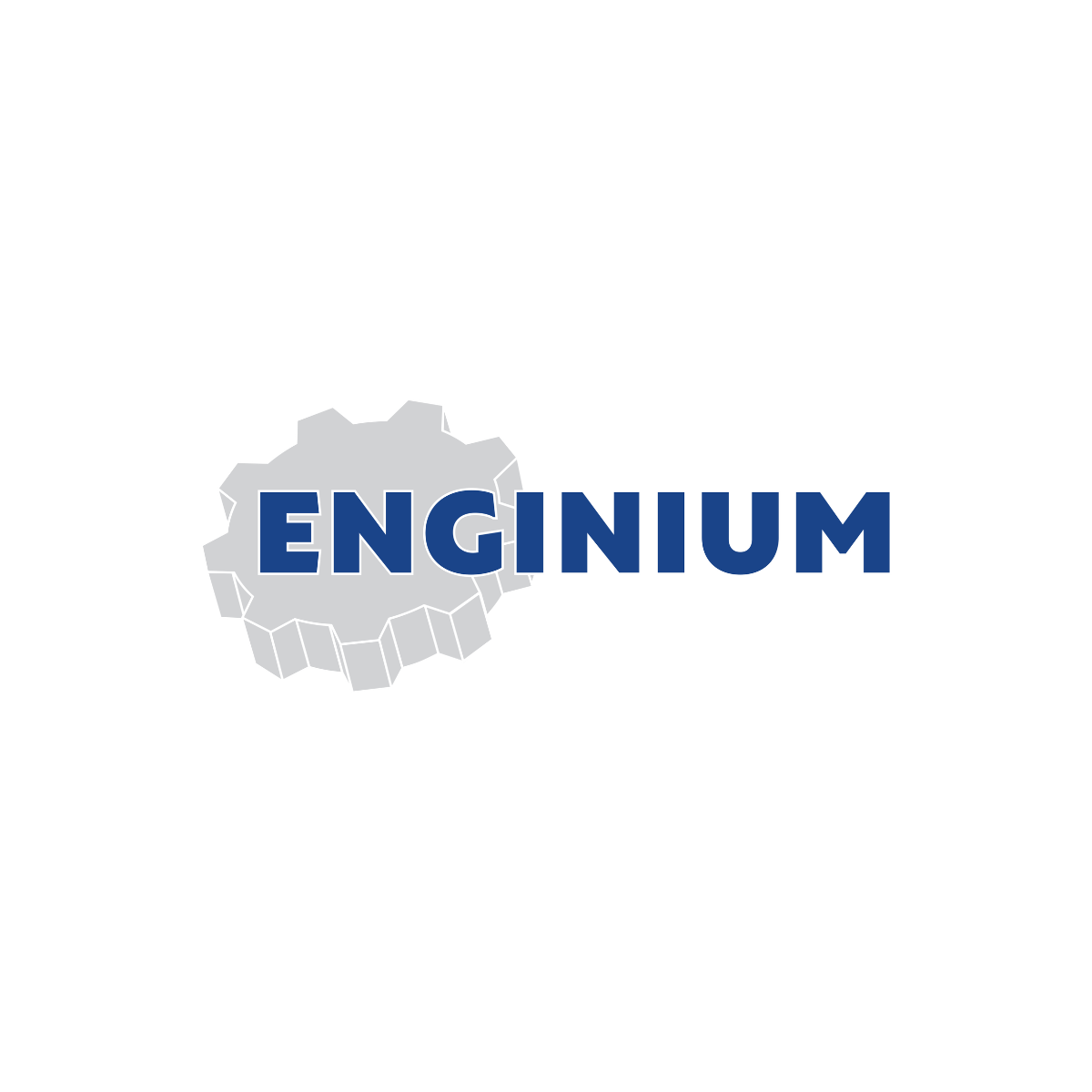 ENGINIUM CAMPAIGN (1).png
