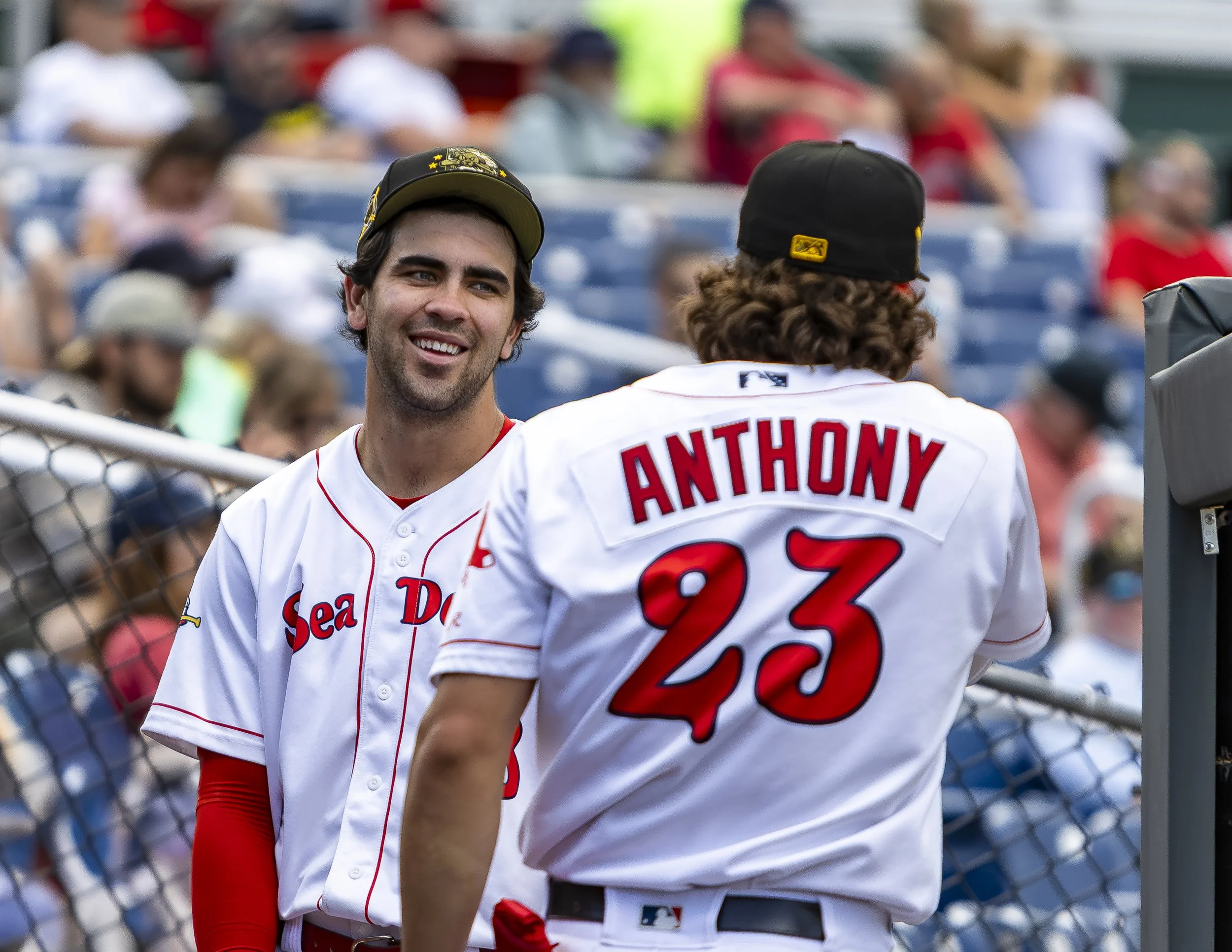 SeaDogsBig2-BetterArm copy.jpg