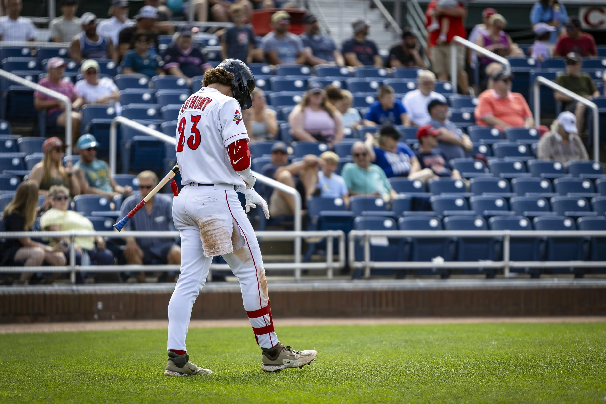 RomAntWalkUp copy.jpg