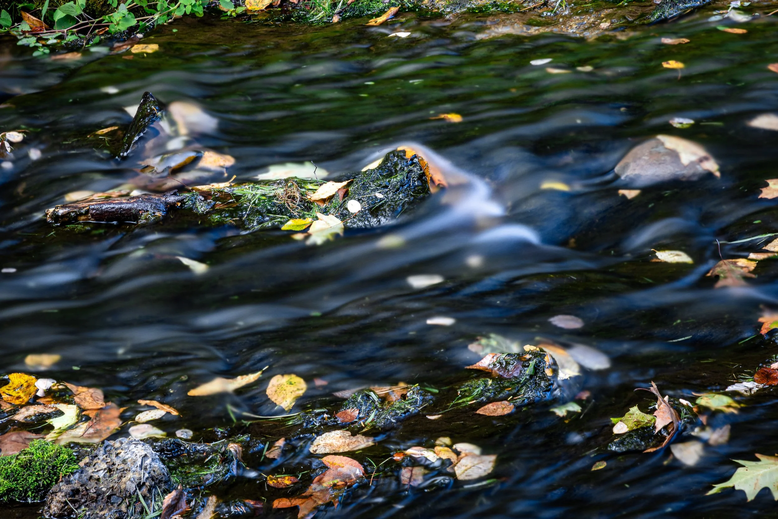 Mosmen_Landscape 040.JPG