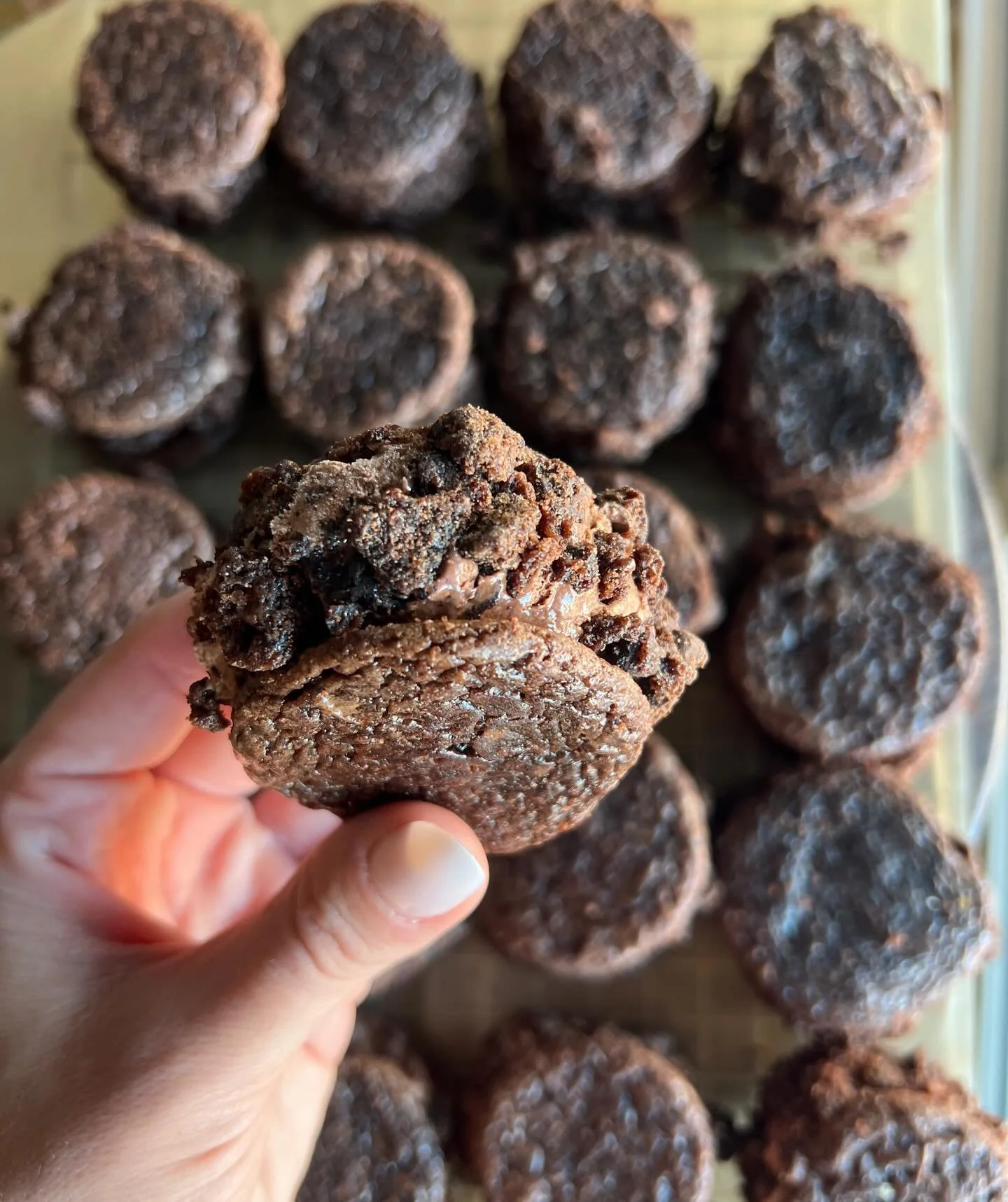 &bull;FUDGE BROWNIE MOCHA&bull; ☕️
brownie cookies + chocolate cookie crumble ice cream rolled in more brownie bites (no caffeine)

#funkyfrostwich #browniecookie #icecreamsandwich #lasvegascatering #frozendessert