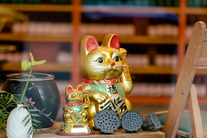Chinese Medicine Lucky Cat