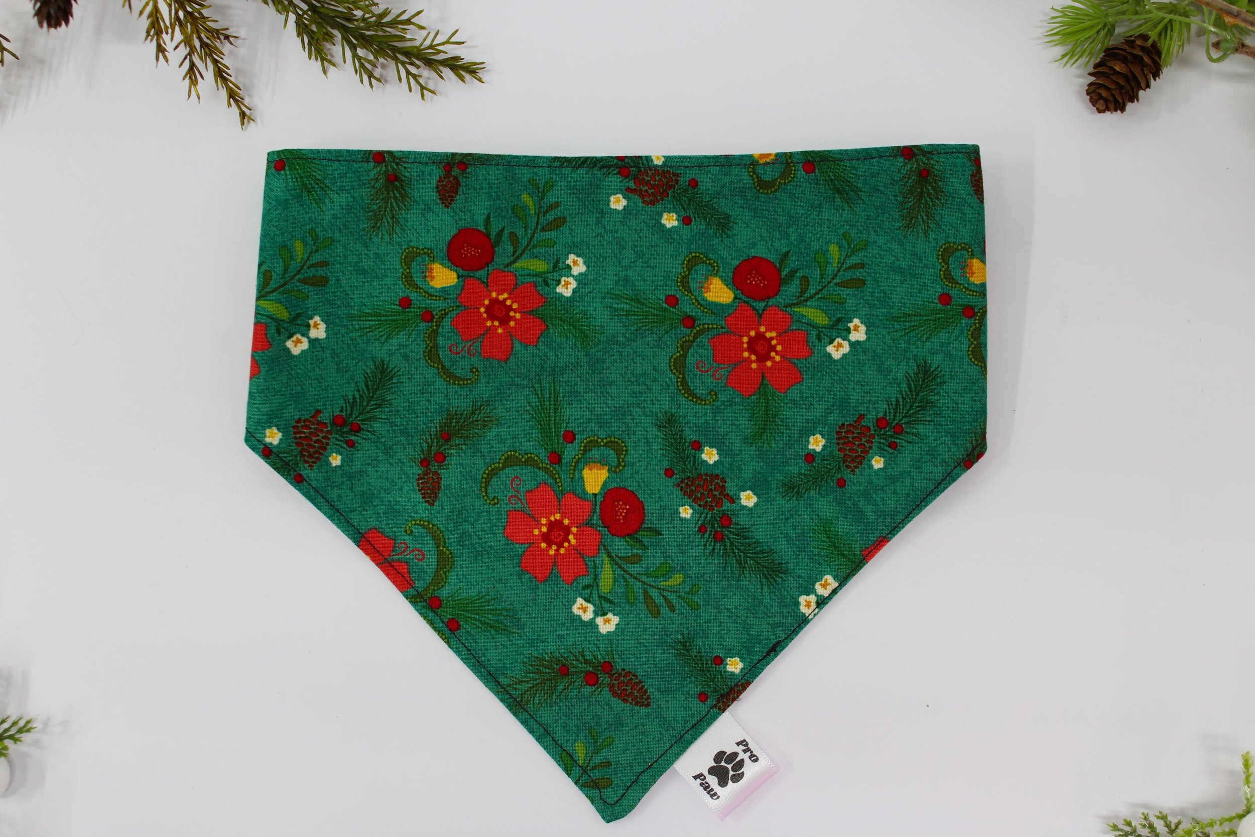 https://i.etsystatic.com/41468203/r/il/b0b8fe/6465894664/il_fullxfull.6465894664_nikp.jpg
