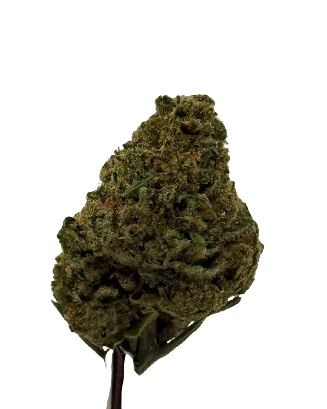 Close-up of a cannabis bud with green and purple hues.