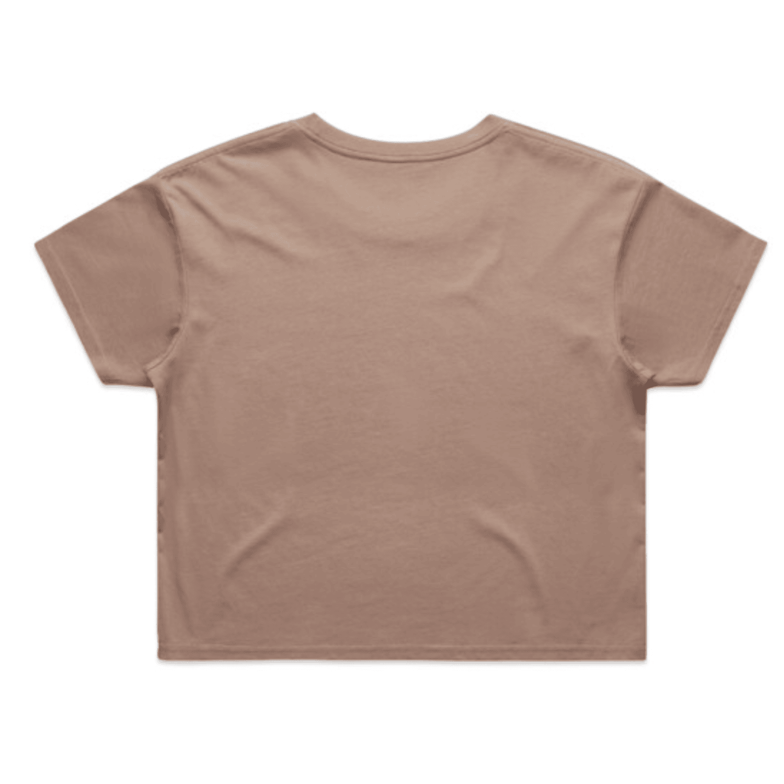 SURF TRAX™ WOMENS CROPPED TEE - HAZY PINK BACK.png