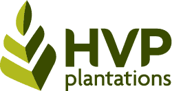 HVP.png