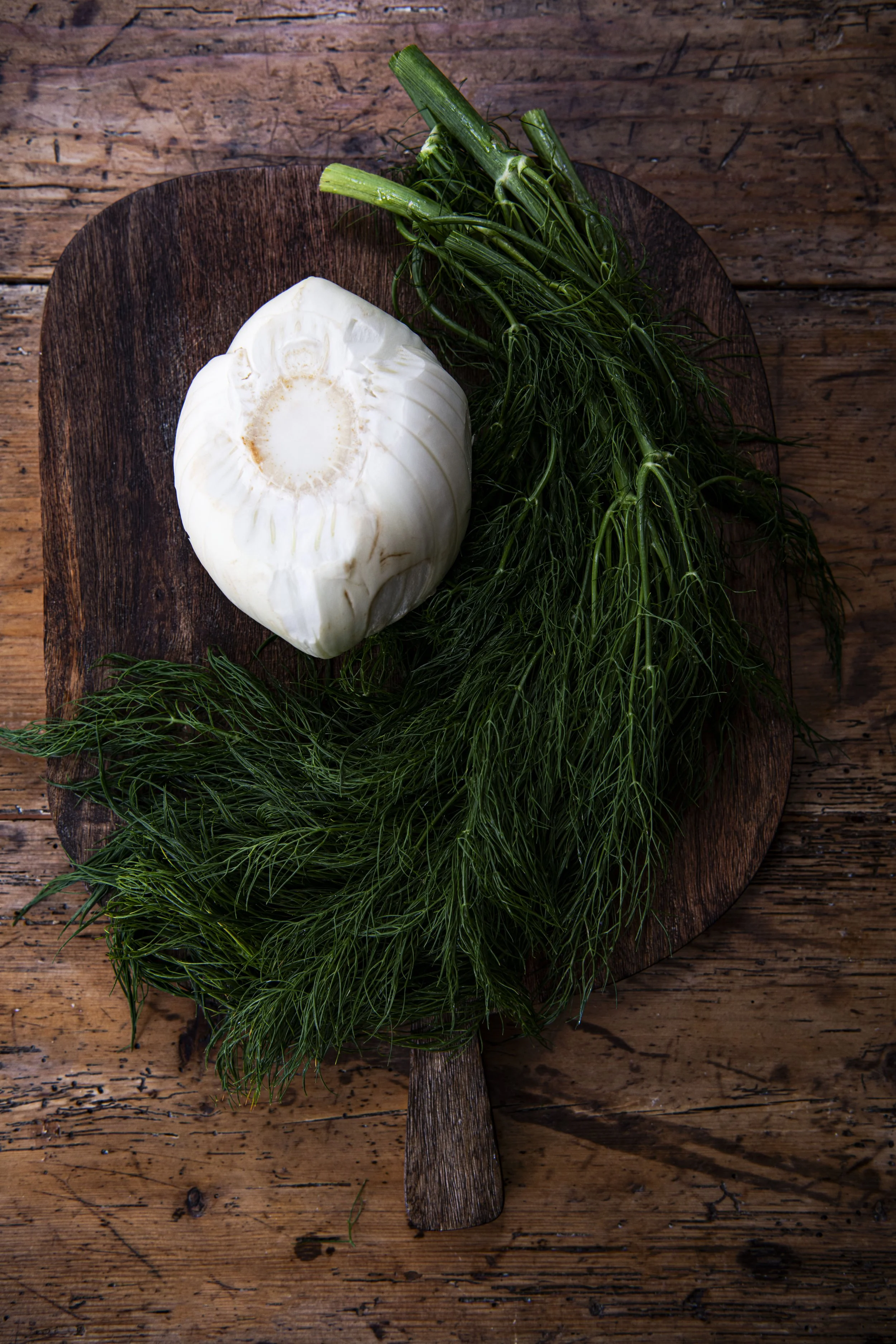 Fennel - DSC_8112.jpg