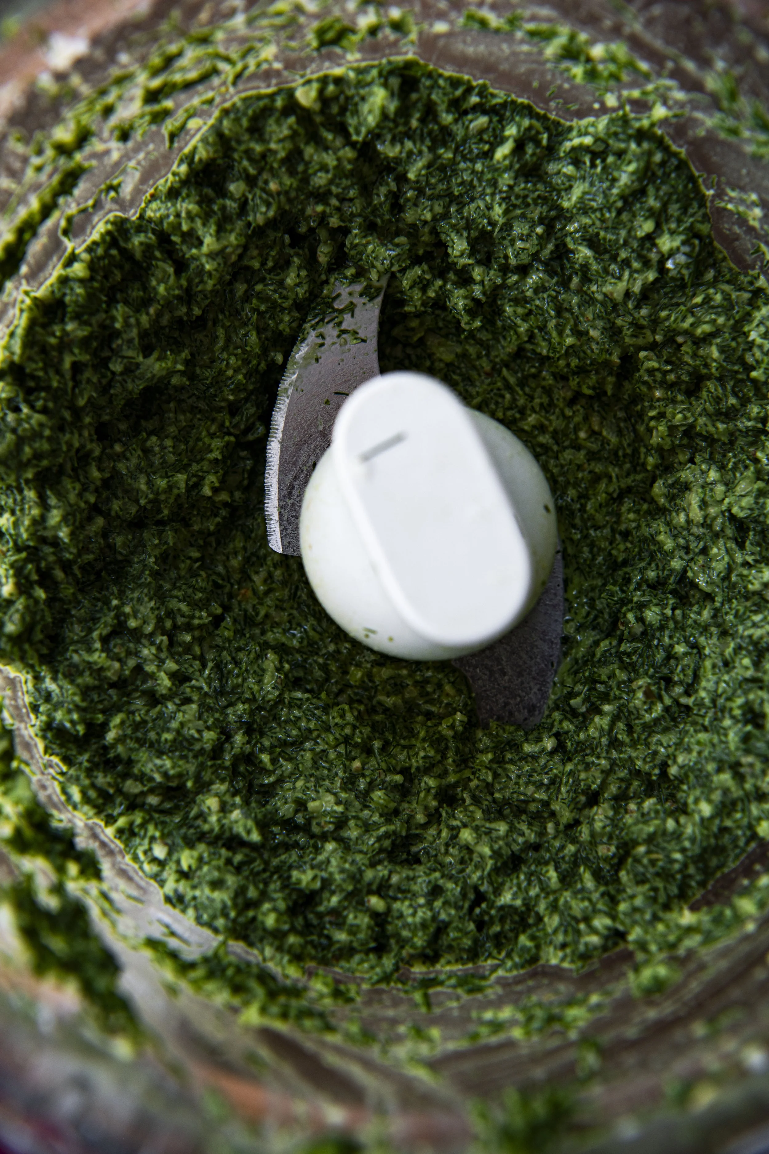 Fennel Fronds Pesto - DSC_8122.jpg