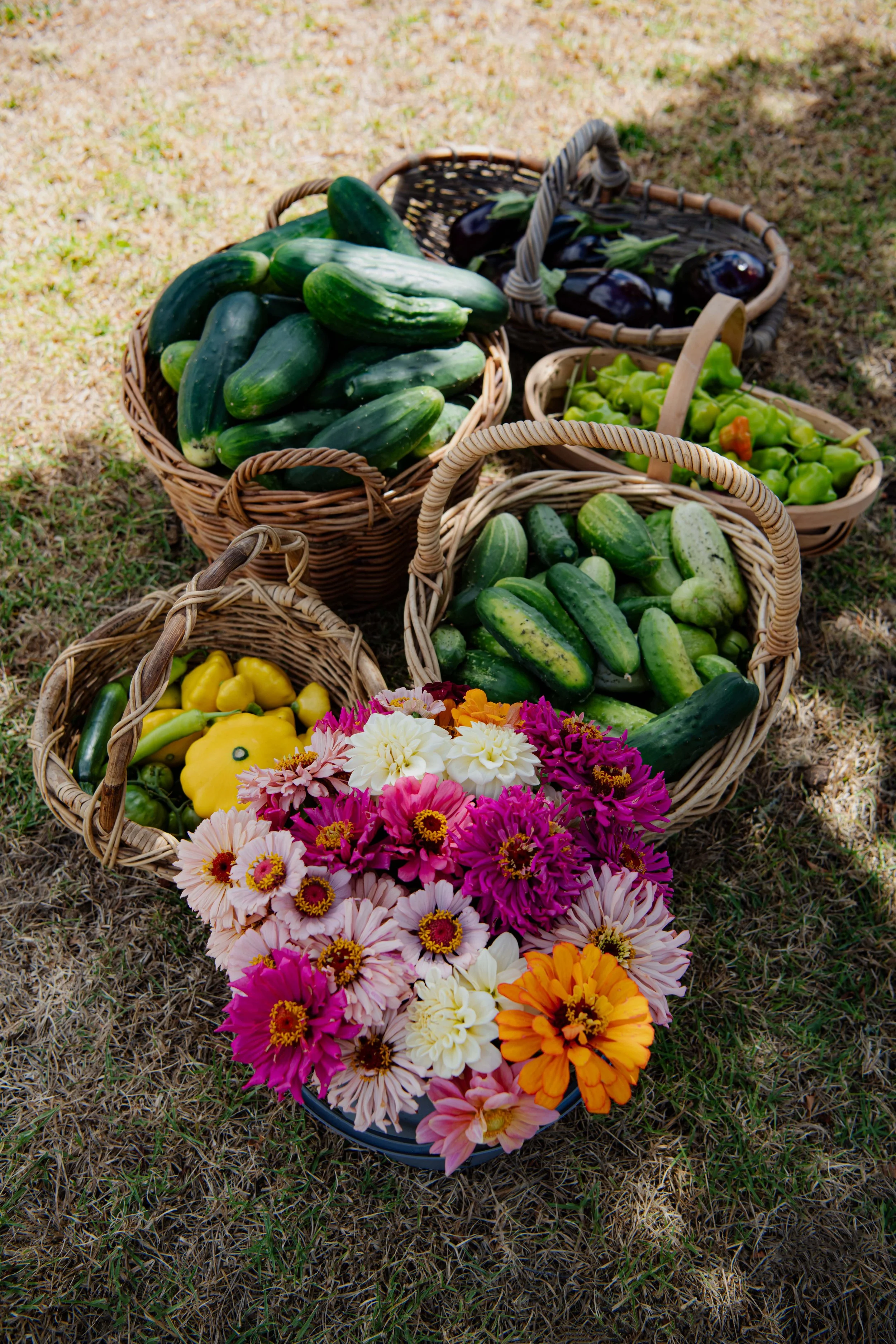 Garden Veg and Flowers - DSC_4729.jpg