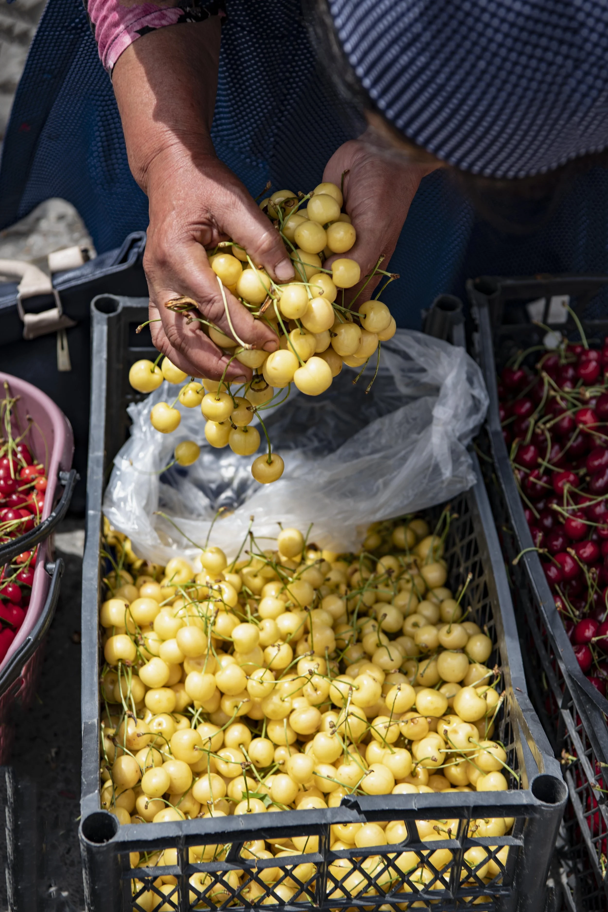 White Cherries Sheki Bazar01.jpg
