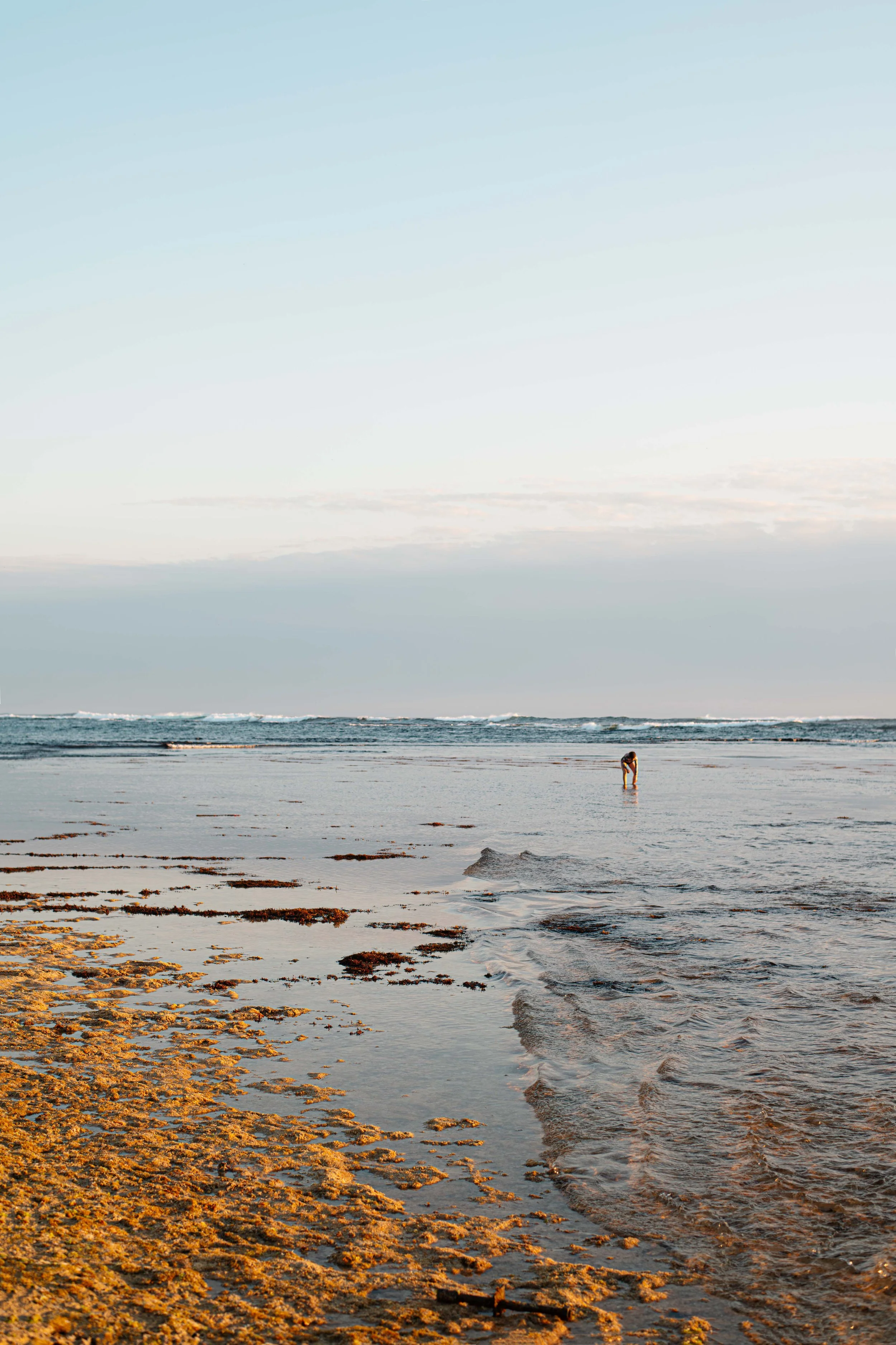 Gnarabup Beach  - DSC_1497.jpg