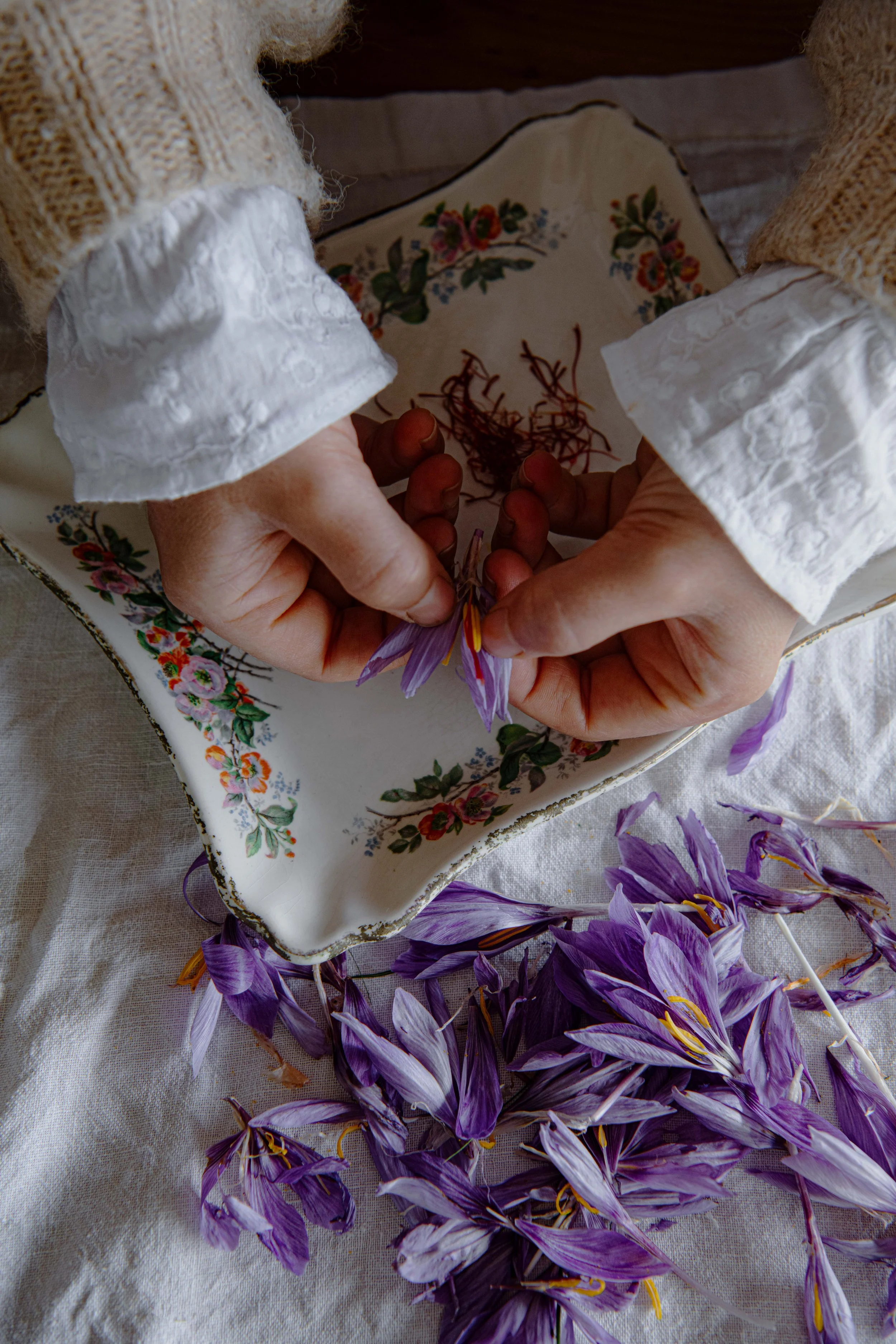 Saffron - DSC_7810.jpg