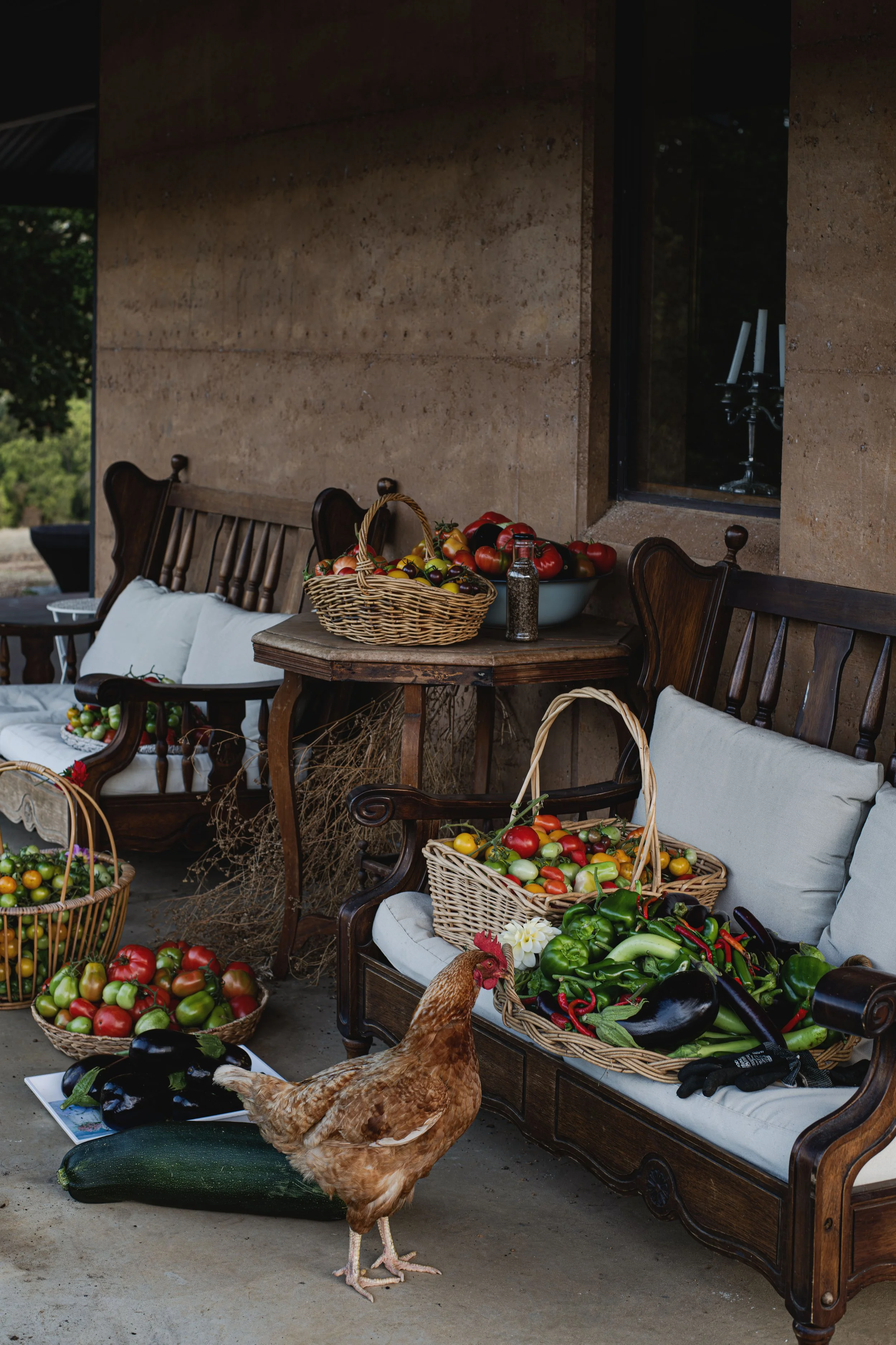 Welcome To Cooking With The Seasons