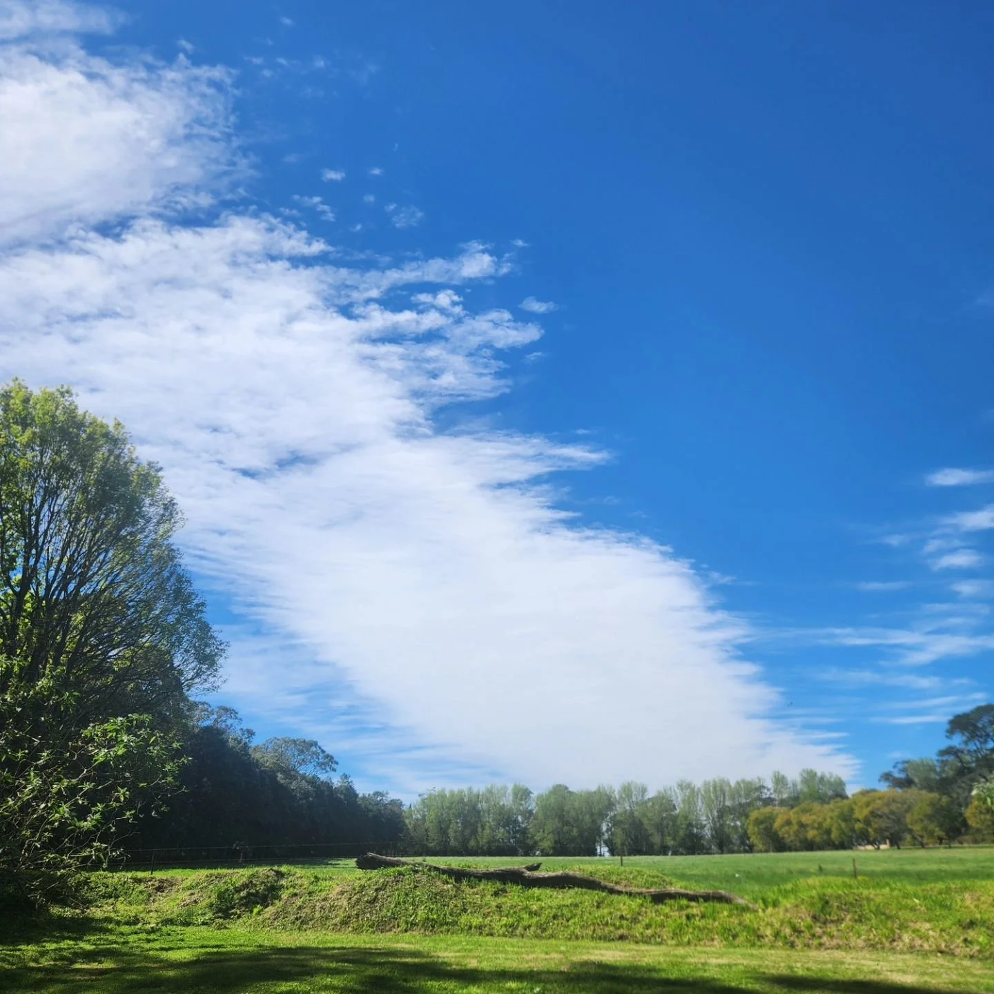 Stunning weather today