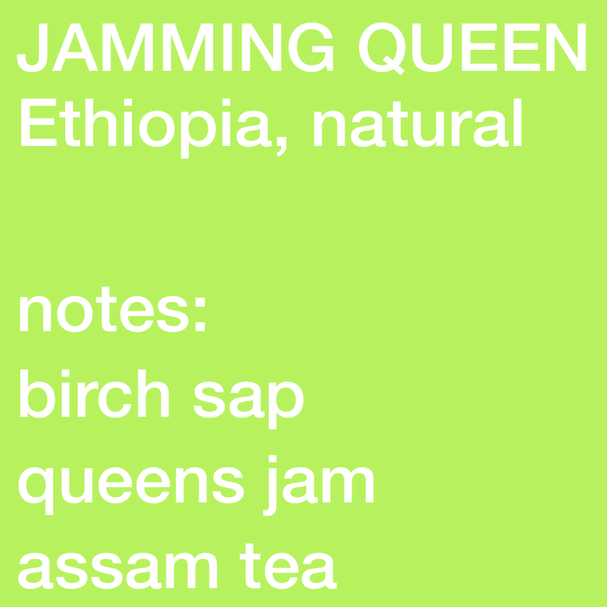 Jamming Queen - Ethiopia, Natural, Heirloom