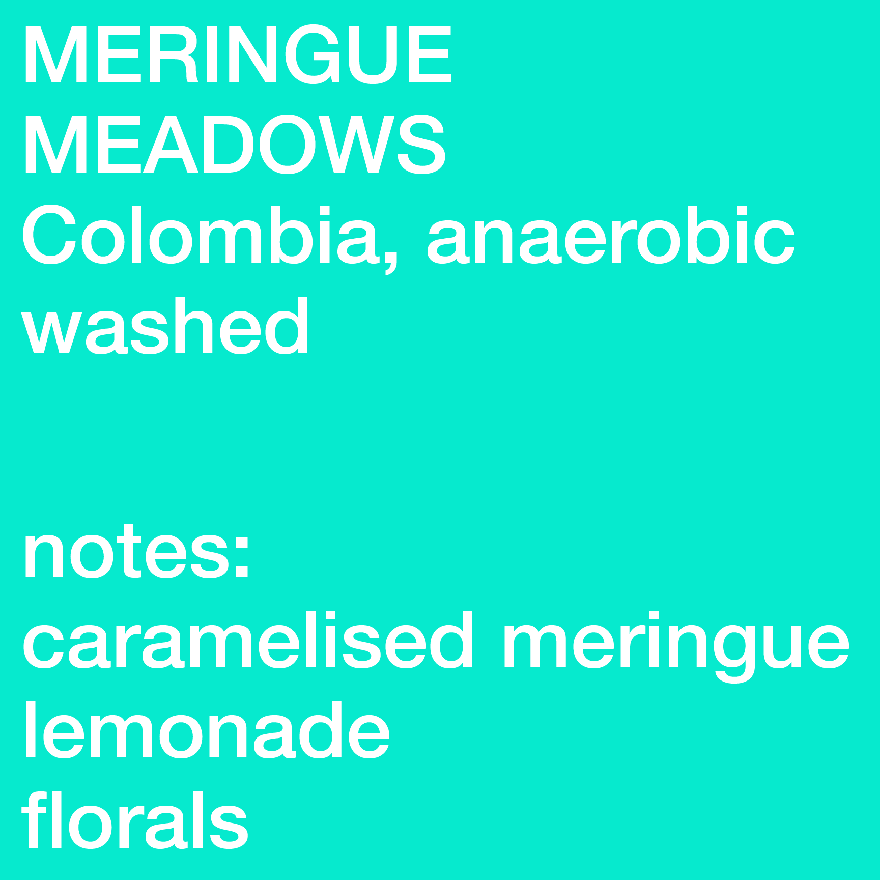 meringue @4x.png