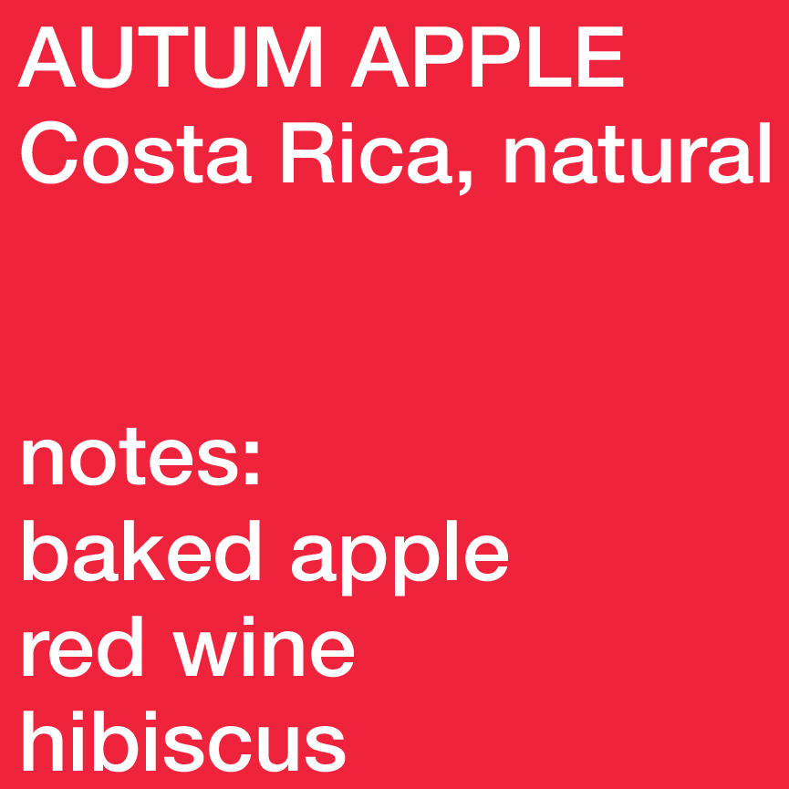 Autumn Apple – Costa Rica, Caturra, Natural