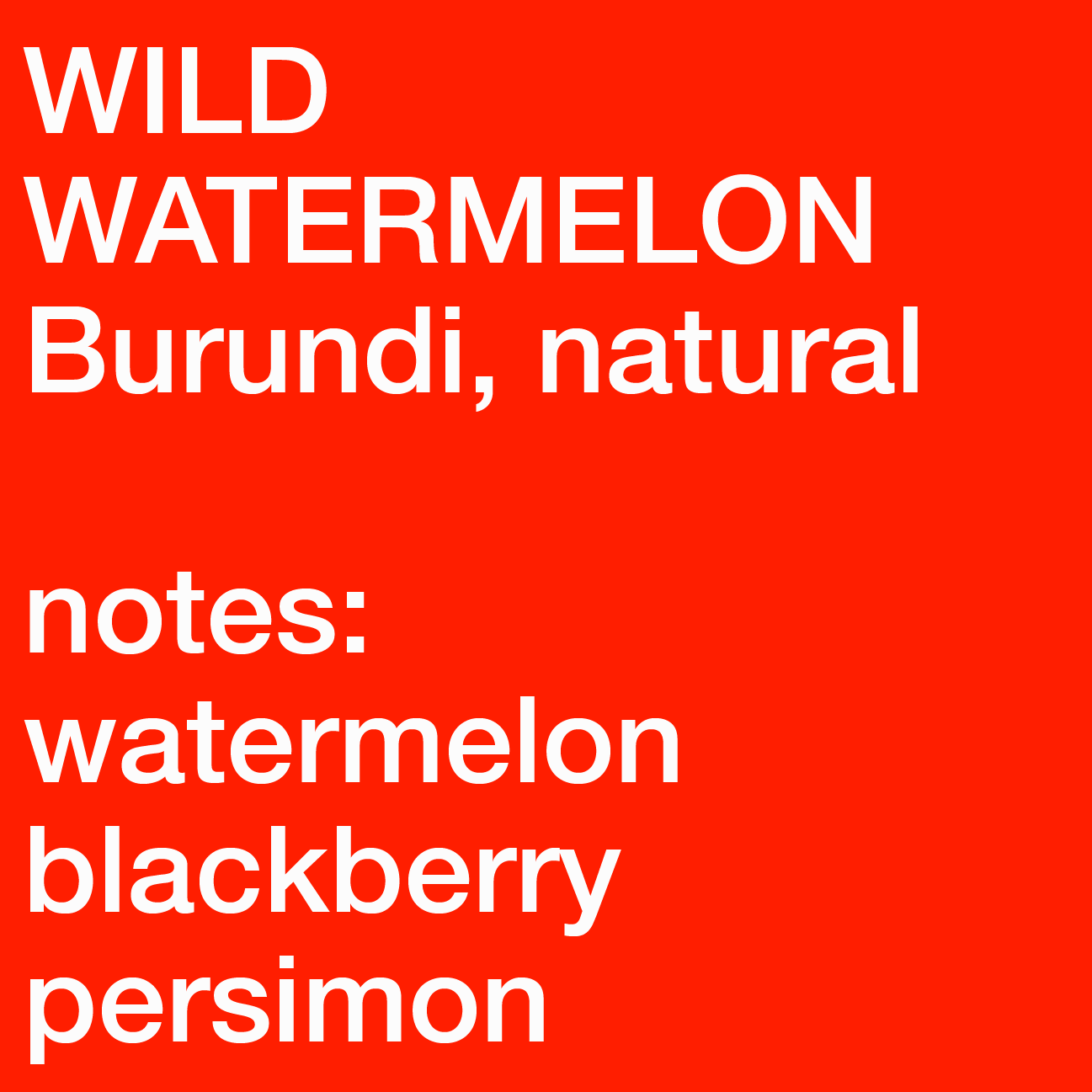Wild Watermelon, Burundi, Natural