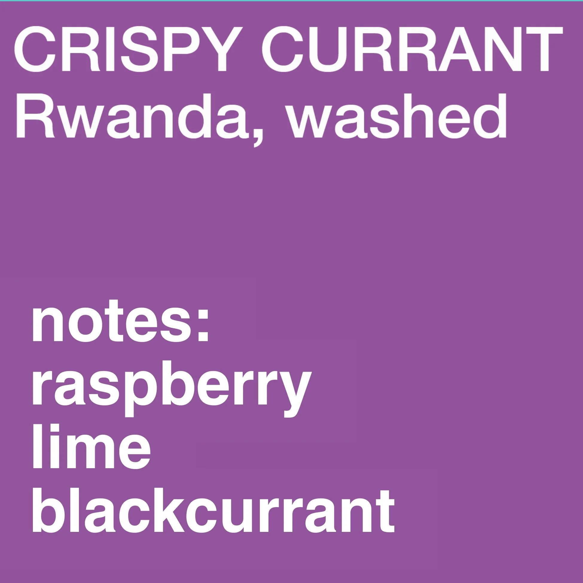 Crispy Currant, Rwanda