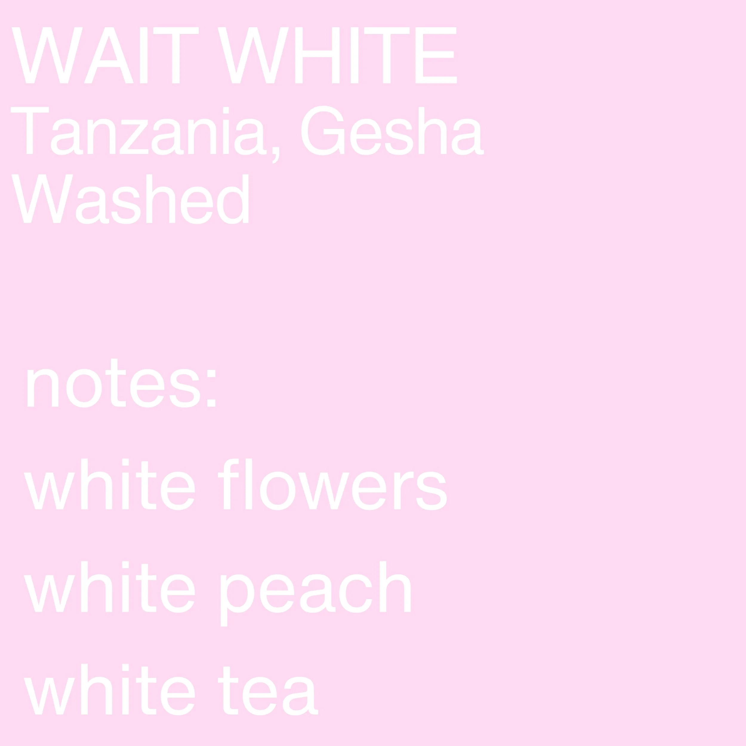 wait white.jpg