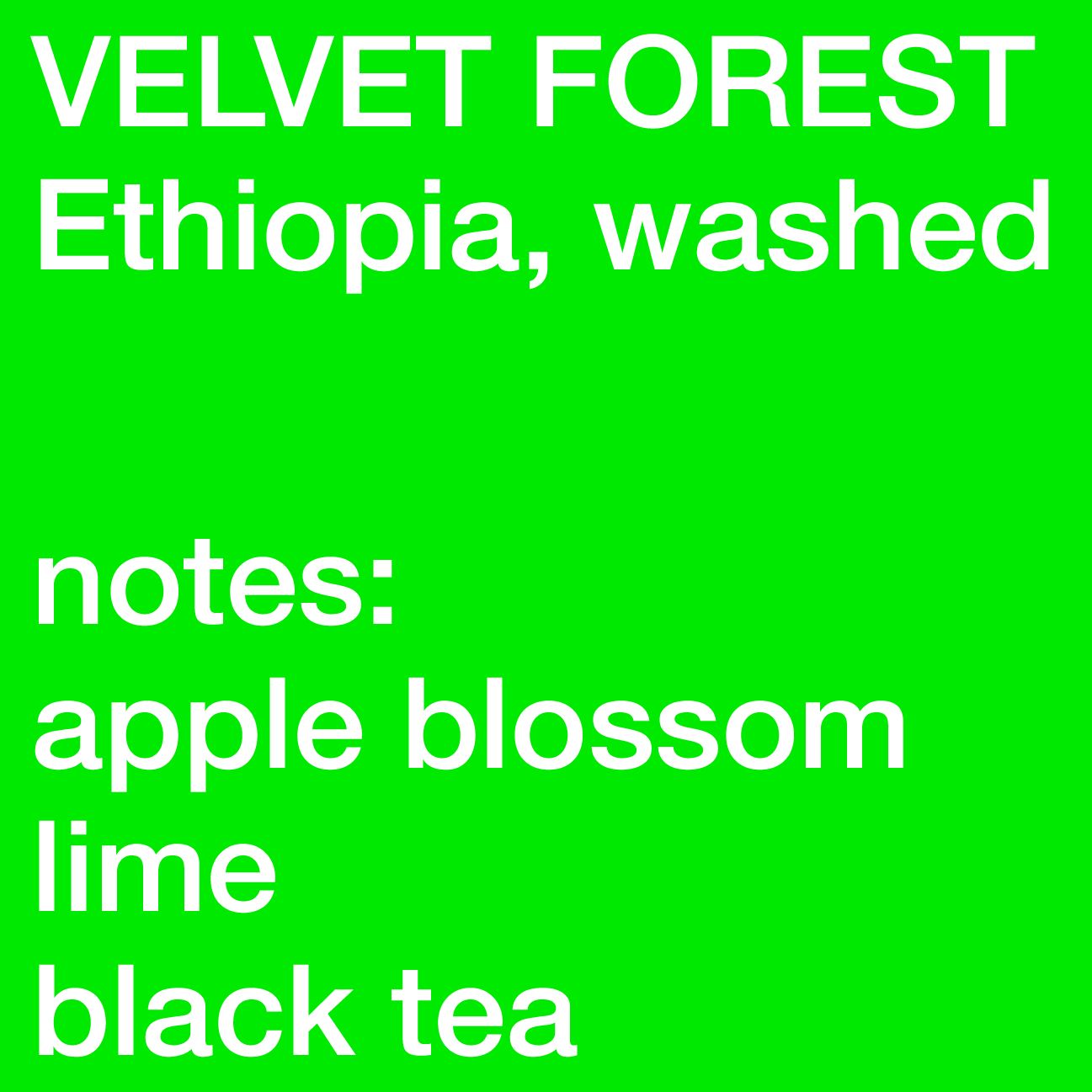 Velvet Forest - Ethiopia, Heirloom, Washed