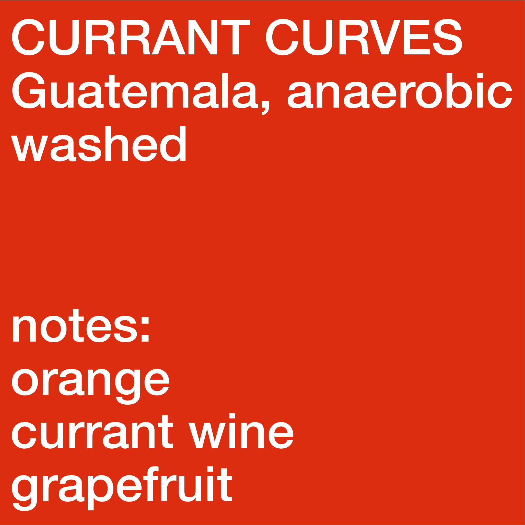 Currant Curves - Guatemala, Ruiru 11, Anaerobic Washed