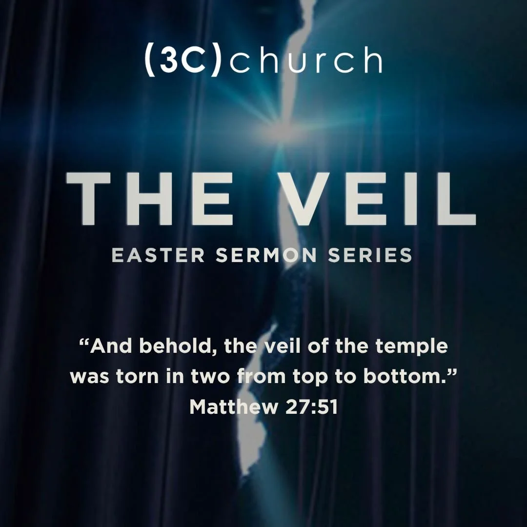 The Veil - Peter Watt