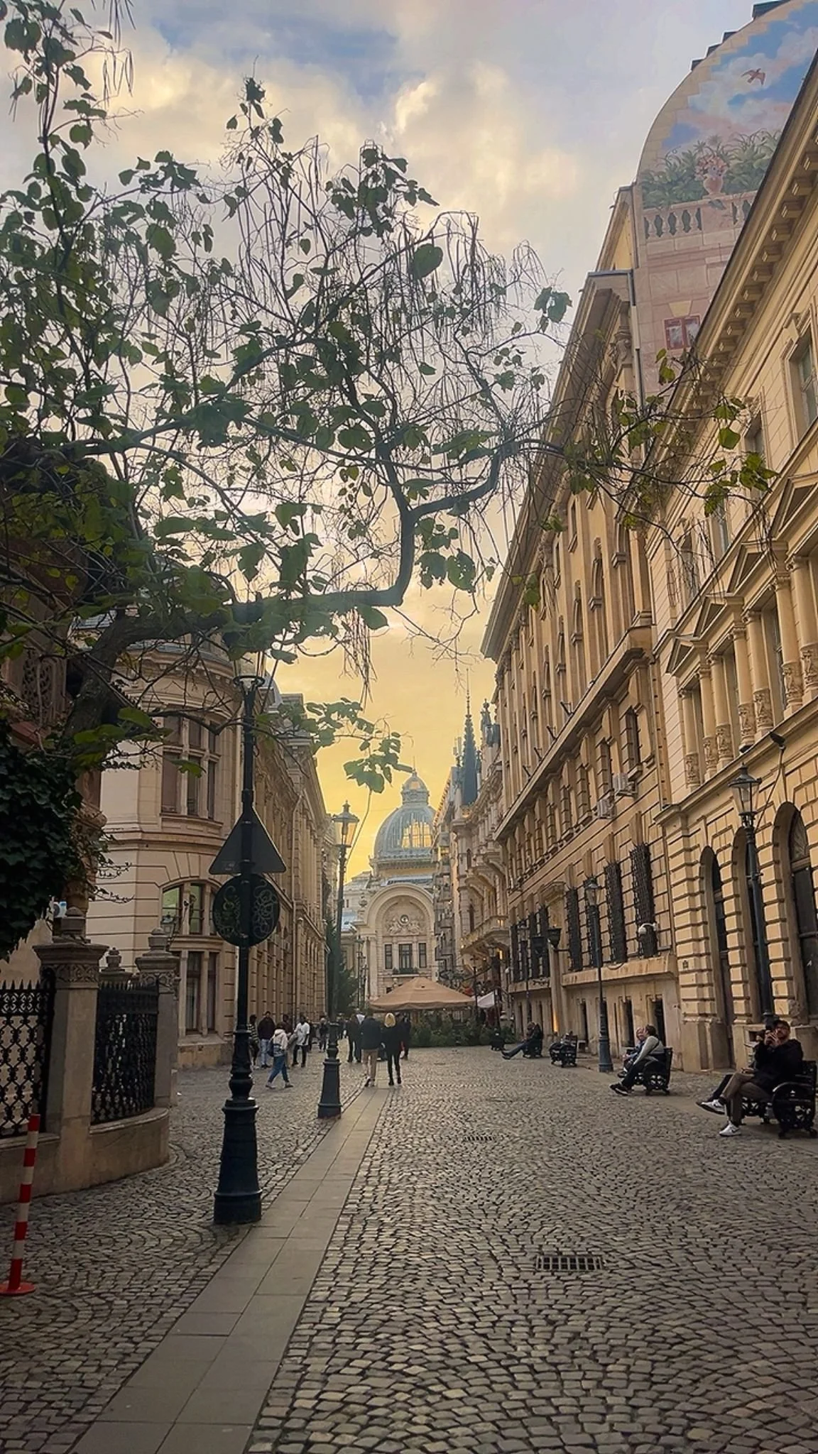 WhatsApp Image 2025-10-07 at 16.25.58 (1).jpeg