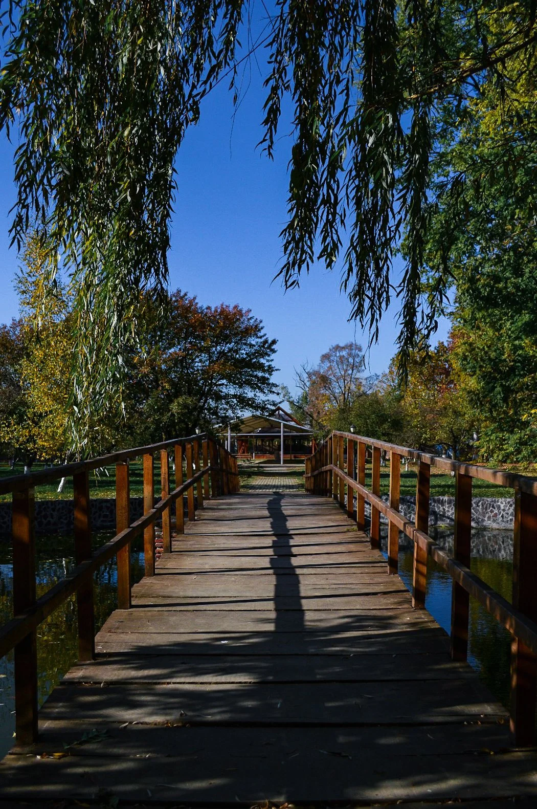 63f12486-35cf-4c0c-83c6-2c98b96c9748.jpg