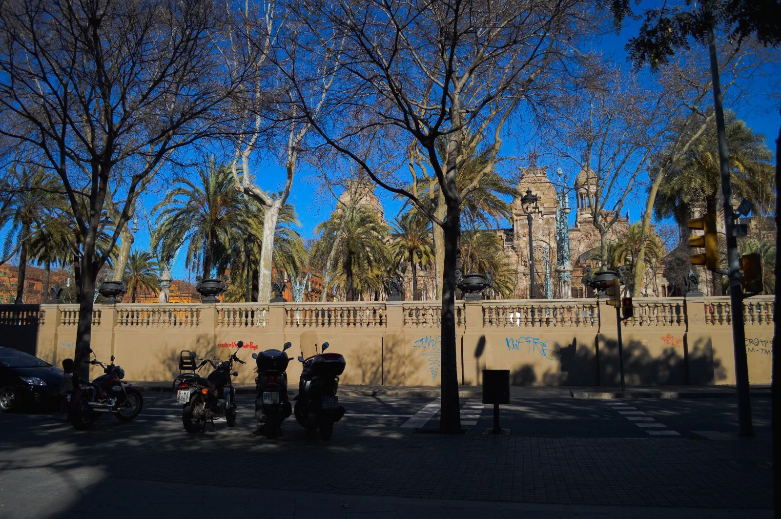 4aed21df-4932-44ad-9746-9733c60230a8.jpg