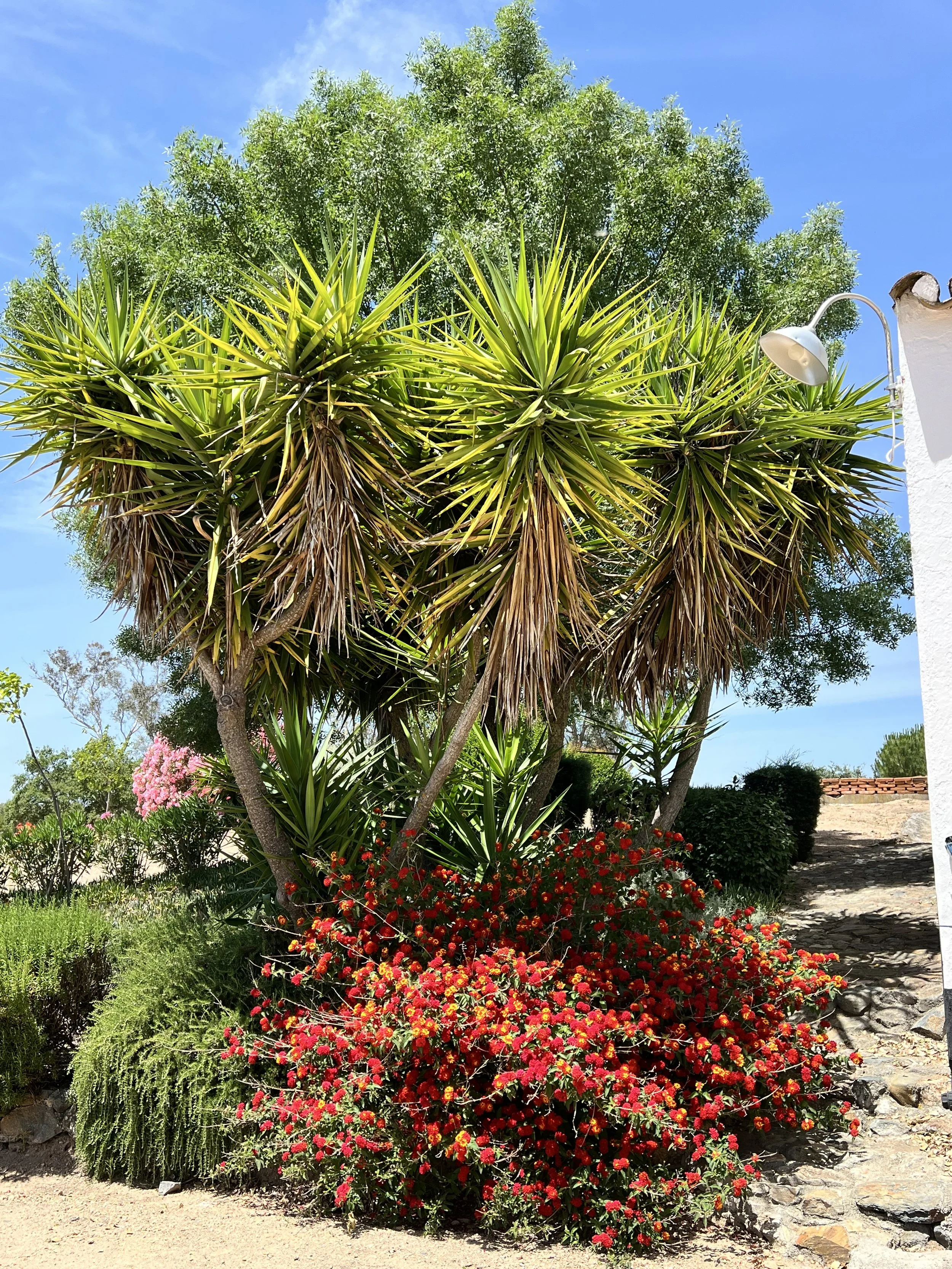 6. IMG_4120.jpeg
