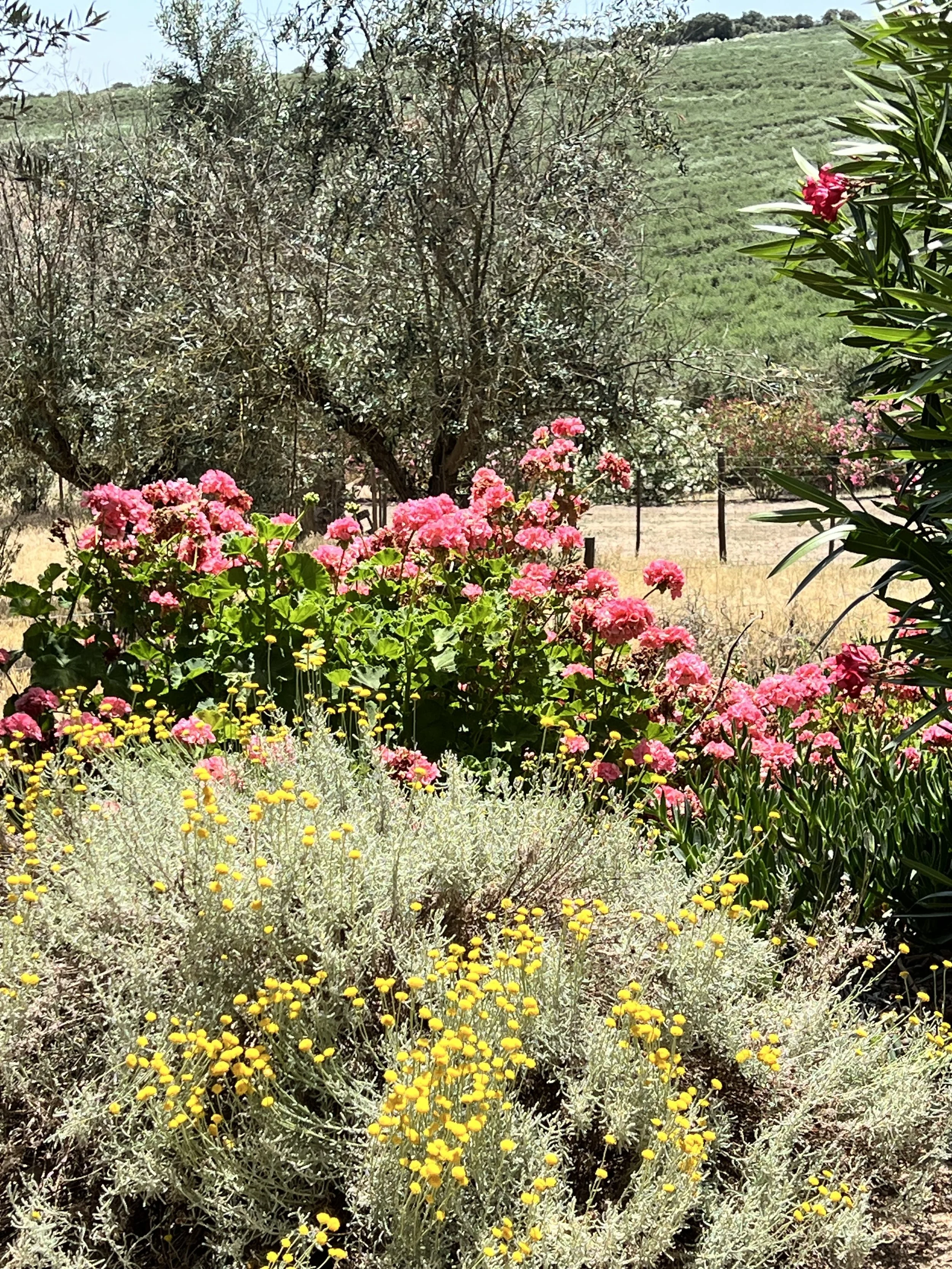 3. IMG_4128.jpeg