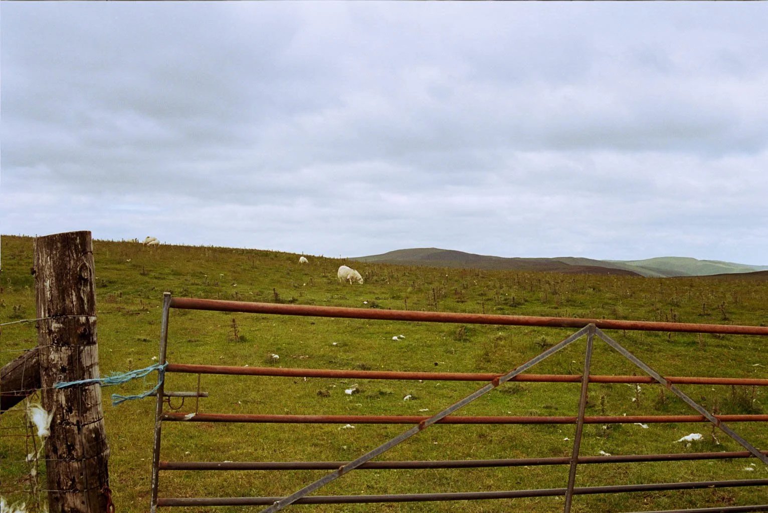 _6A_0456.jpg