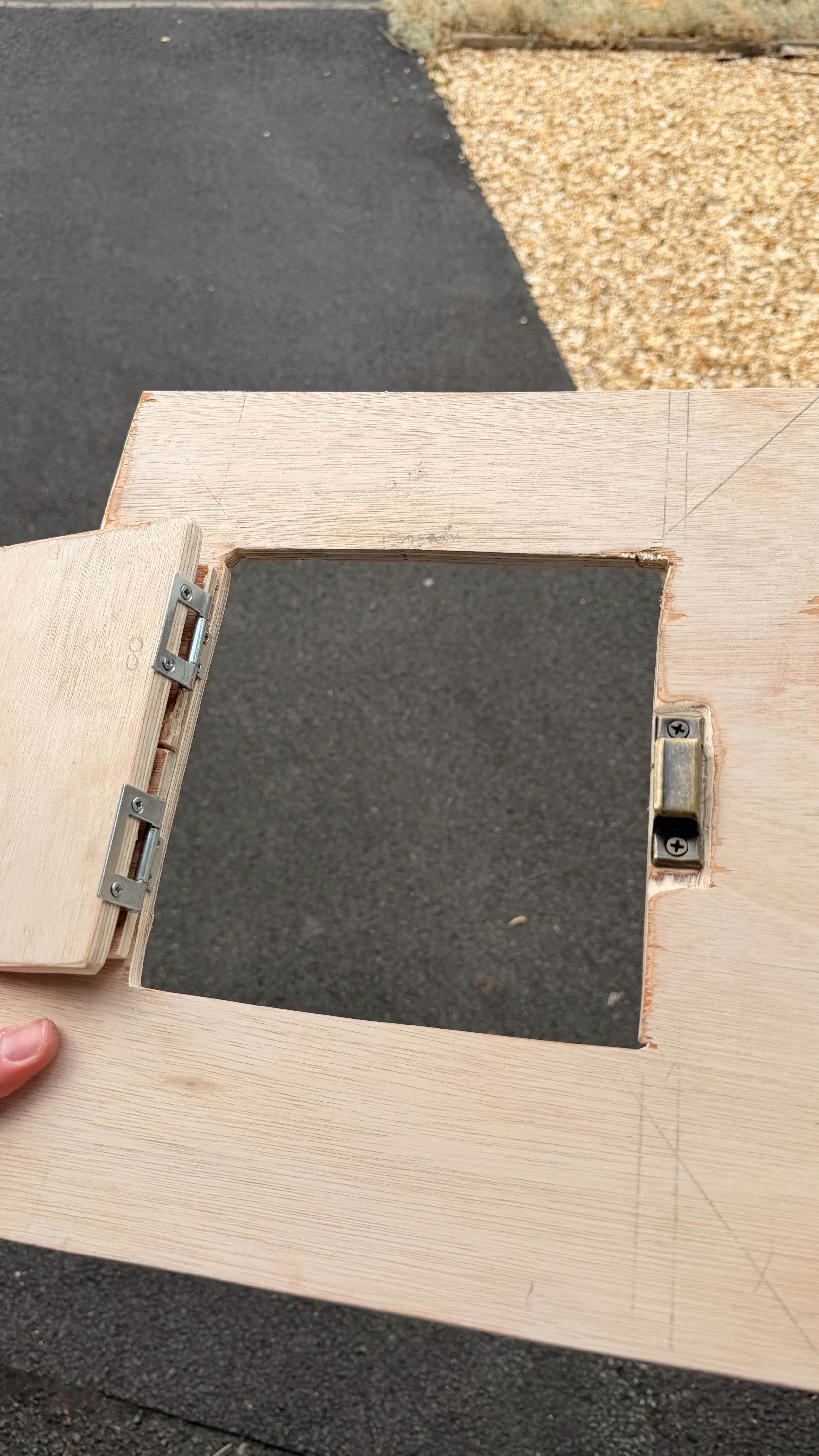 IMG_4561.jpg