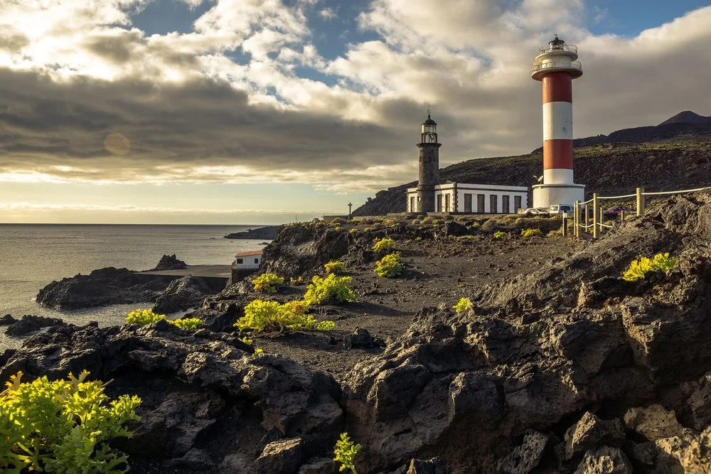 Lighthouse near the coast with rocky shoreline, a cloudy sky, and some yellow-green plants in the foreground.